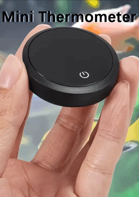 Mini Digital Thermometer