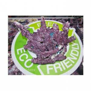 Real Reef-Branched - 15 kilogram kasse